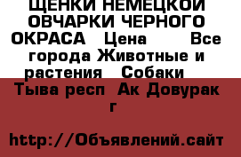 ЩЕНКИ НЕМЕЦКОЙ ОВЧАРКИ ЧЕРНОГО ОКРАСА › Цена ­ 1 - Все города Животные и растения » Собаки   . Тыва респ.,Ак-Довурак г.